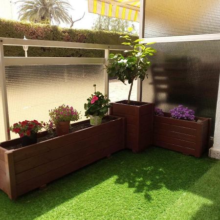 Apartamento En La Playa Miami Playa Εξωτερικό φωτογραφία